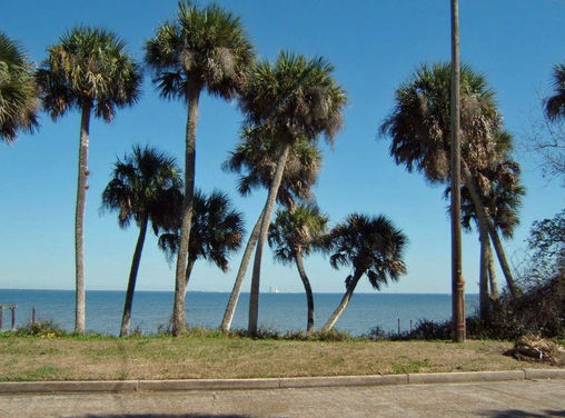 Titusville Police are asking for the Public's Help in Identifing a Male found in the River