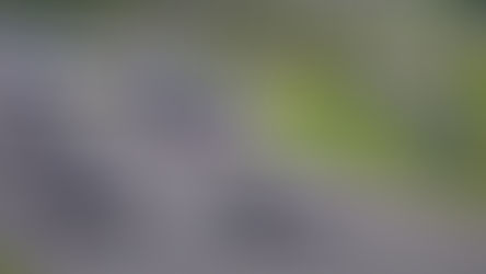 Man accused of stealing 2 Cocoa police cruisers