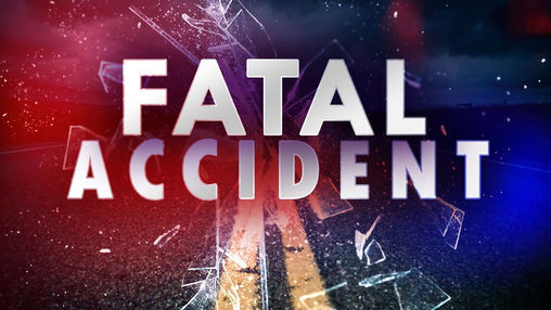 Pedestrian Killed in Traffic Crash