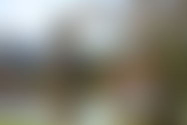 Titusville Water Resources has released final summary of Sand Point Park CleanUp