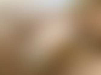 Florida could see a sea turtle baby boom—thanks to pandemic