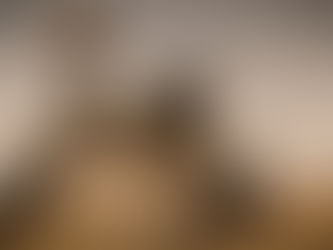 Rock from Mars heads home after 600,000 year odyssey across space