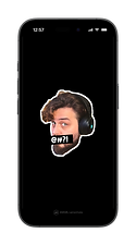 brandbird-iphone-16 (1).png