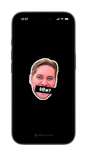 brandbird-iphone-16 (2).png