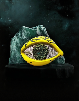 AKNULOONK_Yellow_edited_edited_edited.pn