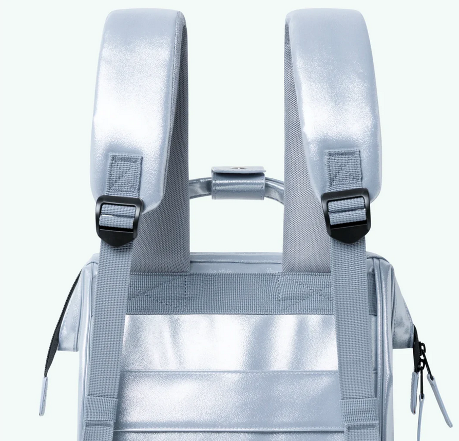Miniature : Sac à dos Cabaïa Small Fidji argenté
