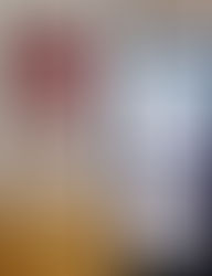 dia 1 Exposição "entre paredes"