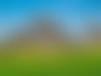 Panneaux photovoltaïques installés au-dessus de cultures agricoles dans le cadre d’un projet d’agrivoltaïsme alliant production d’électricité solaire et agriculture durable.