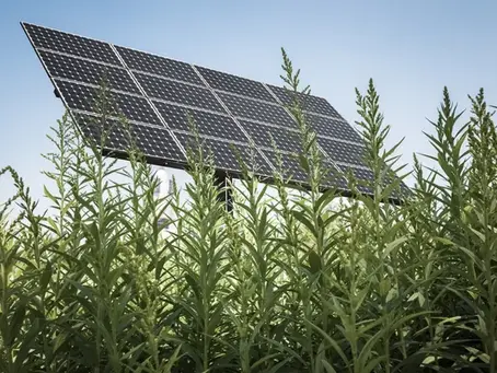 Encadrer l’agrivoltaïsme : Une Solution Contre la Spéculation Foncière