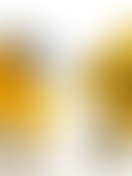 Understanding the Basics of SMSF Contributions