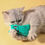 Thumbnail: Mouses toy