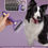 Thumbnail: Pet Double-sided Knot Comb