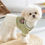 Thumbnail: Cotton Back to School Type Luxury Dog Dress 