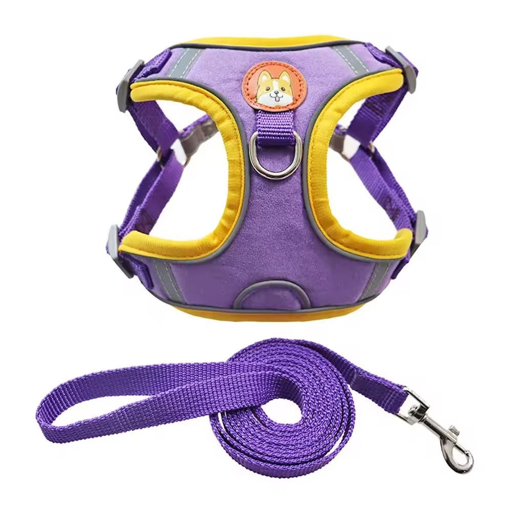 Dog Harness