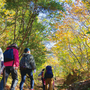 ゆる登山で紅葉狩り秋のお散歩日帰り旅