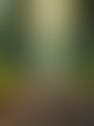 Explorer les profondeurs du deuil : comprendre le voyage invisible