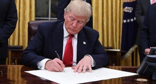 Washington:
Trump planea firmar una orden ejecutiva para revocar la ciudadanía por nacimiento