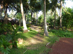 Club Palm Bay - Sri Lanka