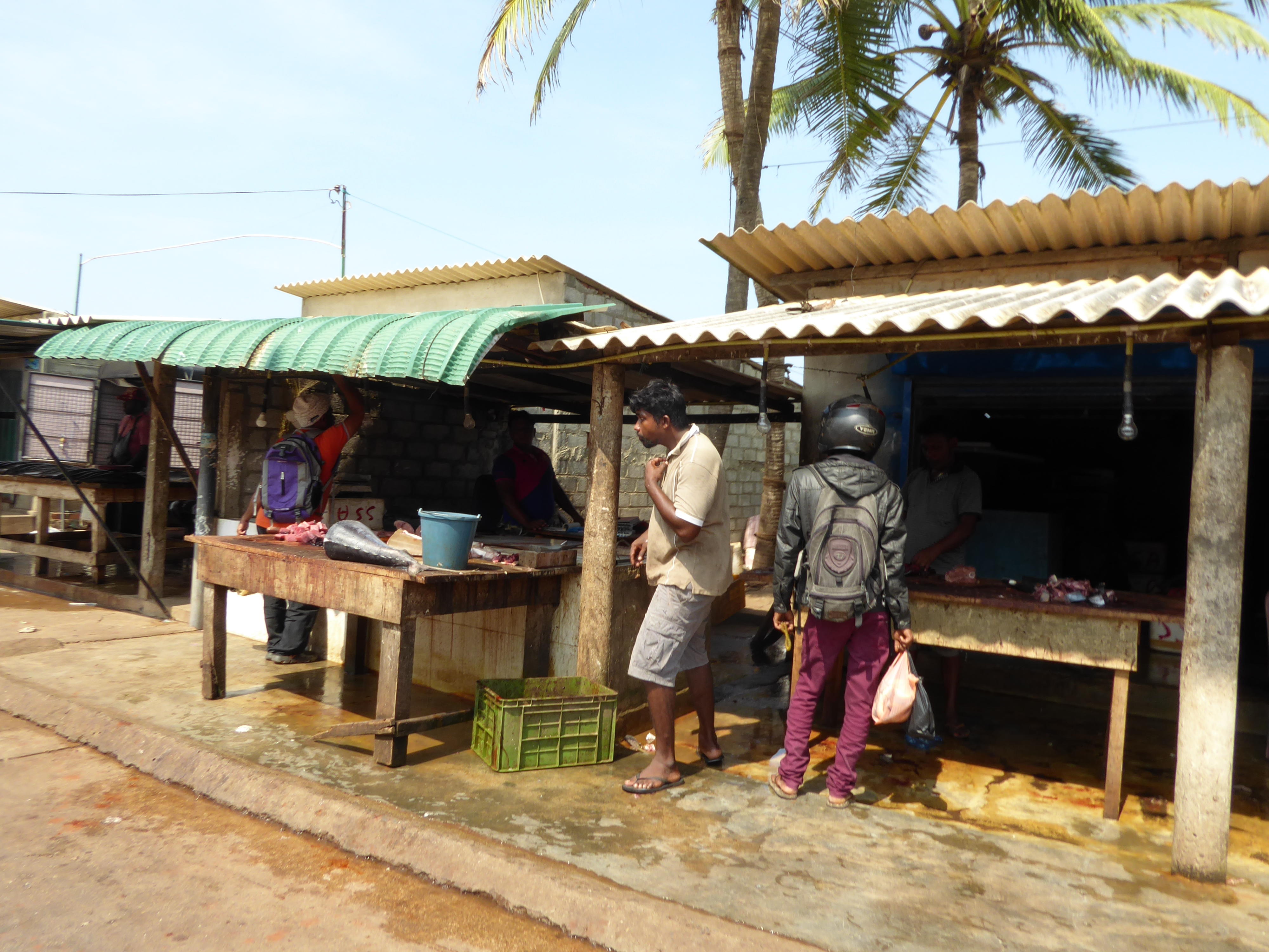 Fischmarkt Marawila Sri Lanka Marawila