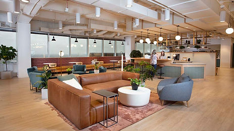 Sitting area with sofas, lounge chairs and coffee counter.