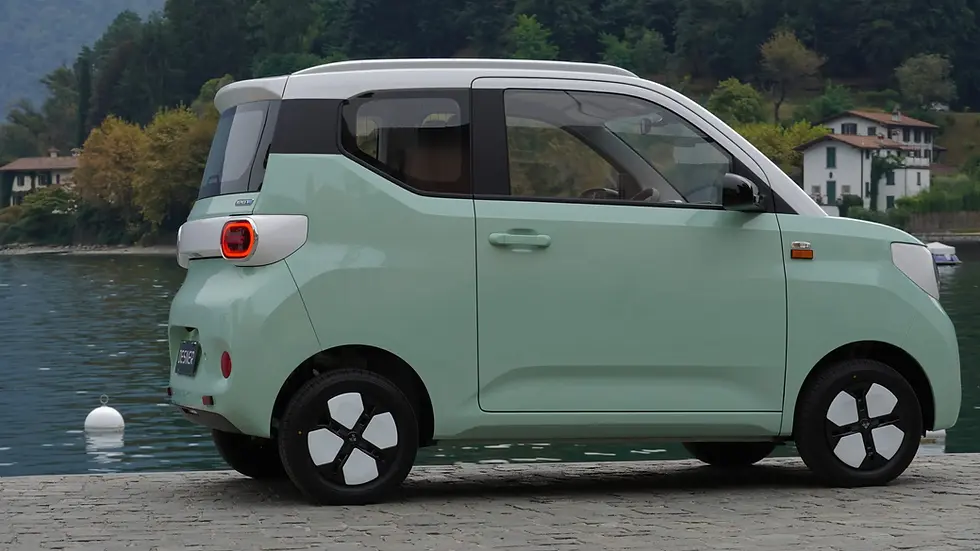 Miniatura: Desner W300