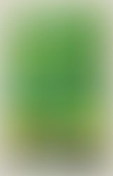 The Motorcycle Diaries by Ernesto Che Guevara