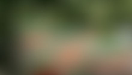 Öffnung der Außenplätze ab Freitag, den 17. April 2026