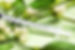 AdobeStock_52819172_Preview.jpeg