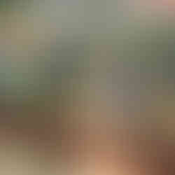 playground discovery yard with dig pit