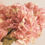 Thumbnail: The Preserved Feel Hydrangea in Dusky Pink