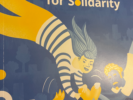 Consolidation des projets de solidarité européenne à Timisoara (RO)