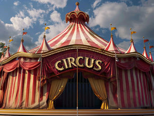 ⭐️ Stages de cirque 2026 du 7 au 10 avril 2026