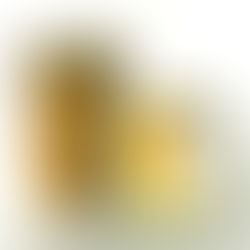 Pre-Order for Pick Up is LIVE!!!