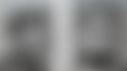 "Untreated" Racism Is America's "Syphilis"