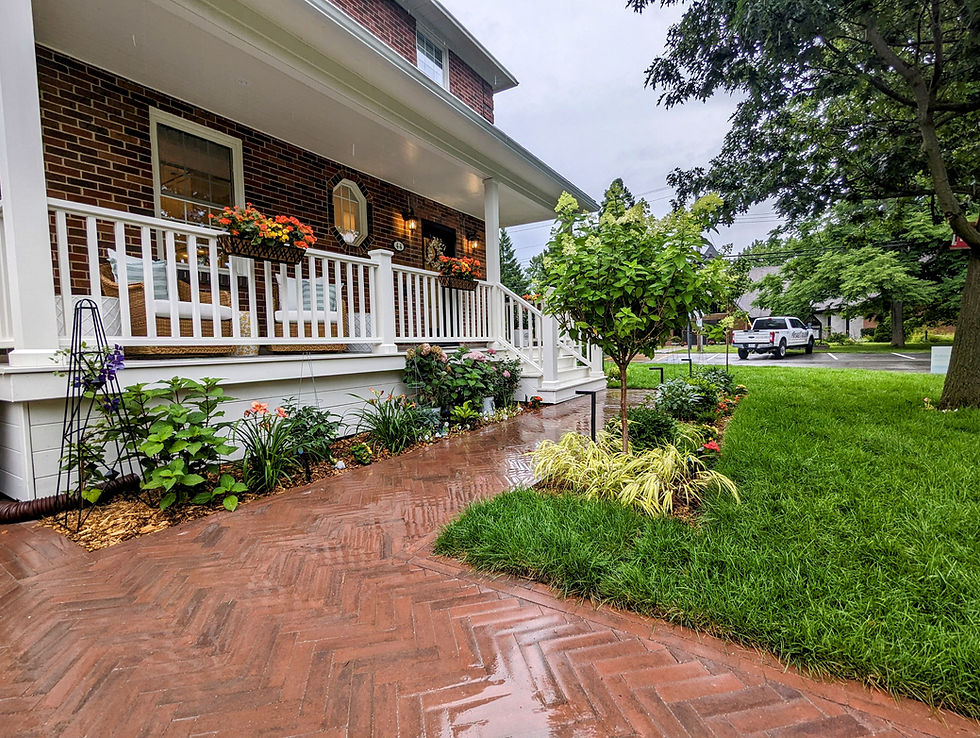 PXL_20240716_213934506~2