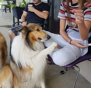 received_560510721966327.jpeg