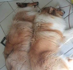 received_1584653495199592.jpeg