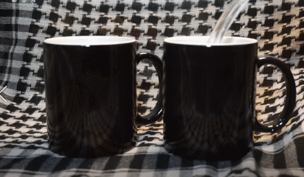 GIF.gif
