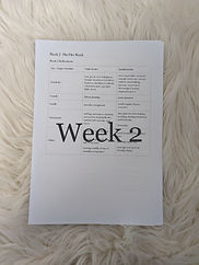 week 2_edited.jpg