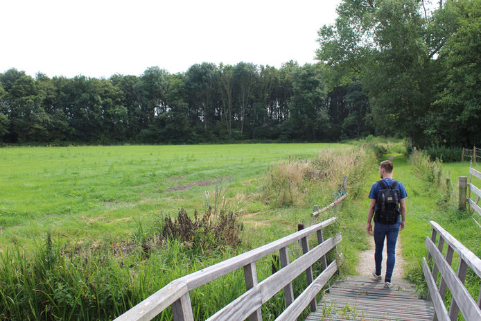 Gorredijkster bos foto.jpg