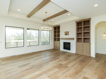Modern living room with fireplace and built-in shelves