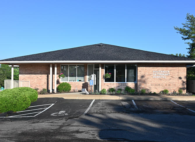 Southwick Veterinary Hospital