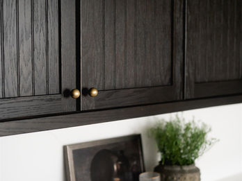 Dark cabinets over counter with framed photo and plant