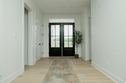 Modern hallway with black double doors and a plant