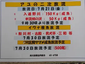 アユ追加放流予定
