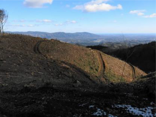 田人中央 山地(焼倉 ~樅山 )