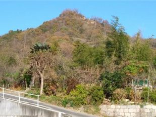 常磐高倉山(じょうばんたかくらやま)