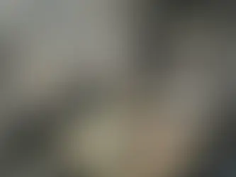 鮫川許行協同組合／鮎解禁情報