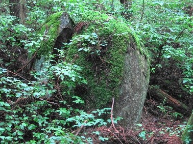【三和町】良々堂山・差塩三十三所観音618.6m