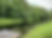 IMG_0928_edited.png
